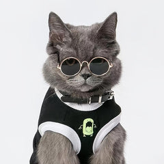 Pet Glasses for Dogs and Cats - Fun and Stylish Pet Accessories