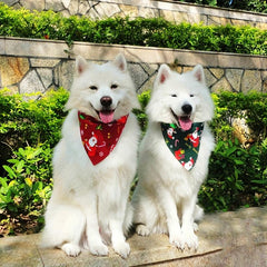 Christmas Pet Bandanas Santa & Tree Graphic Scarf Holiday Bib for Pets