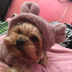 Pet Bear Fleece Dog Clothes Jacket Warm Costume