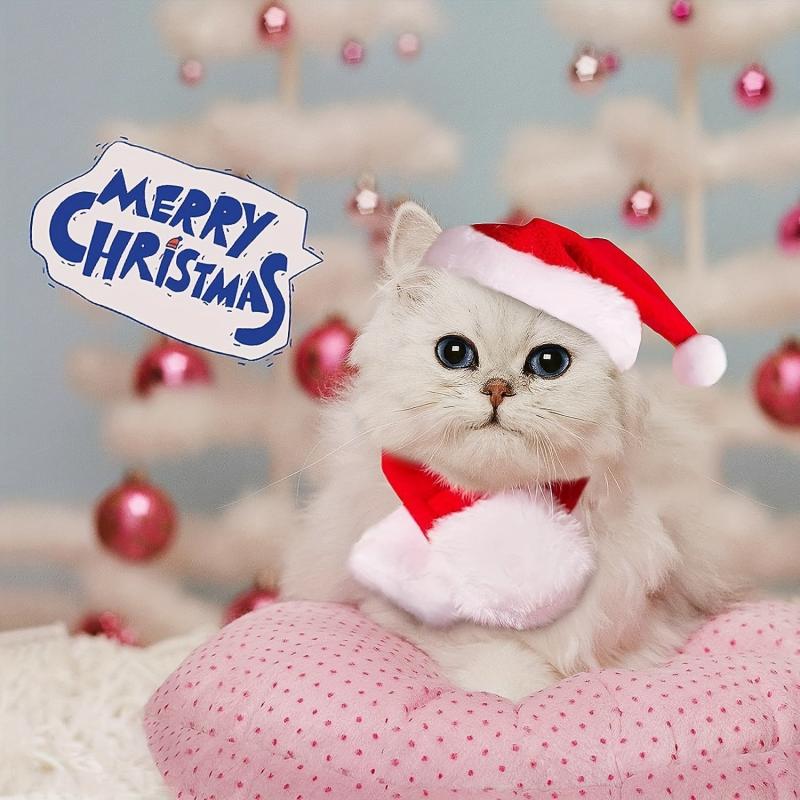 Cat Santa Hat With Scarf Christmas Costume Funny Pet Christmas Hat