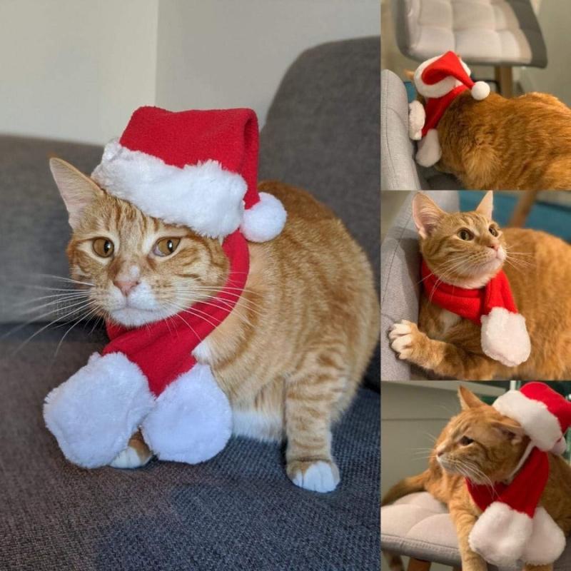 Cat Santa Hat With Scarf Christmas Costume Funny Pet Christmas Hat