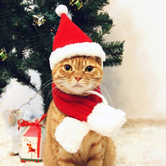 Cat Santa Hat With Scarf Christmas Costume Funny Pet Christmas Hat