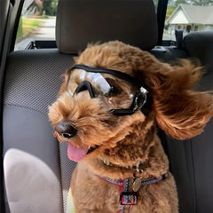 Dog Sunglasses Eye Protection Windproof Goggles Medium Large Dog
