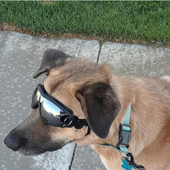 Dog Sunglasses Eye Protection Windproof Goggles Medium Large Dog