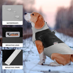 Thickened & Warm Dog Cotton Vest for Autumn & Winter