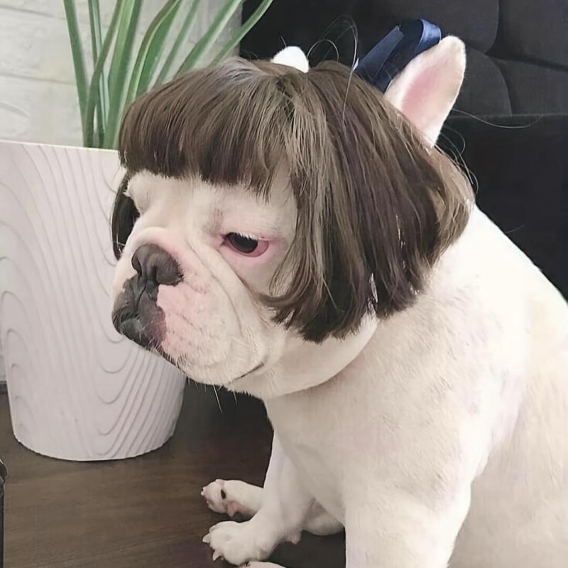 Pet Costume Wigs for Small and Medium Dogs