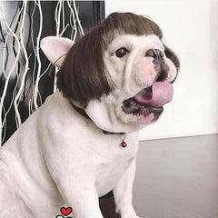 Pet Costume Wigs for Small and Medium Dogs