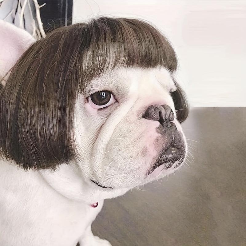 Pet Costume Wigs for Small and Medium Dogs