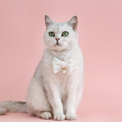 Adjustable Bowknot & Pearl Pet Necklace for Dog and Cat
