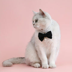 Adjustable Bowknot & Pearl Pet Necklace for Dog and Cat