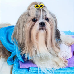 Oval Sunglasses Hair Clips for Pets Fashionable Accessories