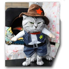 Funny Cowboy Costume for Cats Halloween Parties