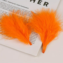 50pcs Macaroon Feather Colorful Turkey Feather Natural Feather Decoration