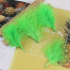 50pcs Macaroon Feather Colorful Turkey Feather Natural Feather Decoration