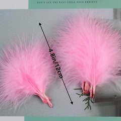 50pcs Macaroon Feather Colorful Turkey Feather Natural Feather Decoration