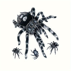 Spider Pattern Temporary Tattoo Waterproof Long lasting Tattoo