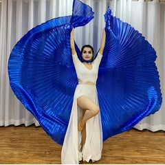 Belly Dance Isis Wing With Telescopic Rods Bag Set
