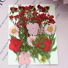 25pcs Dried Pressed Flowers Kit for DIY Resin Jewelry Candles Soaps