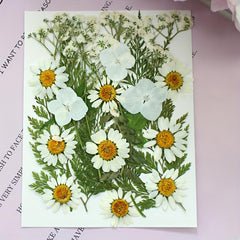 25pcs Dried Pressed Flowers Kit for DIY Resin Jewelry Candles Soaps