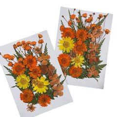 25pcs Dried Pressed Flowers Kit for DIY Resin Jewelry Candles Soaps