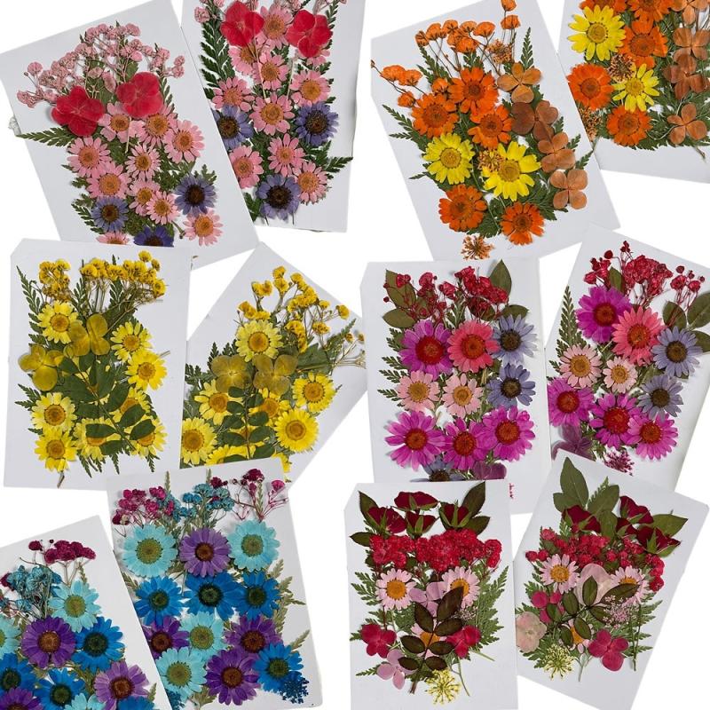 25pcs Dried Pressed Flowers Kit for DIY Resin Jewelry Candles Soaps