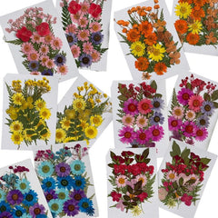 25pcs Dried Pressed Flowers Kit for DIY Resin Jewelry Candles Soaps