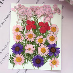 25pcs Dried Pressed Flowers Kit for DIY Resin Jewelry Candles Soaps