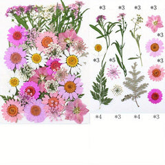 40pcs Dried Pressed Flower Kit for DIY Resin Jewelry Candles Soaps Nail Art