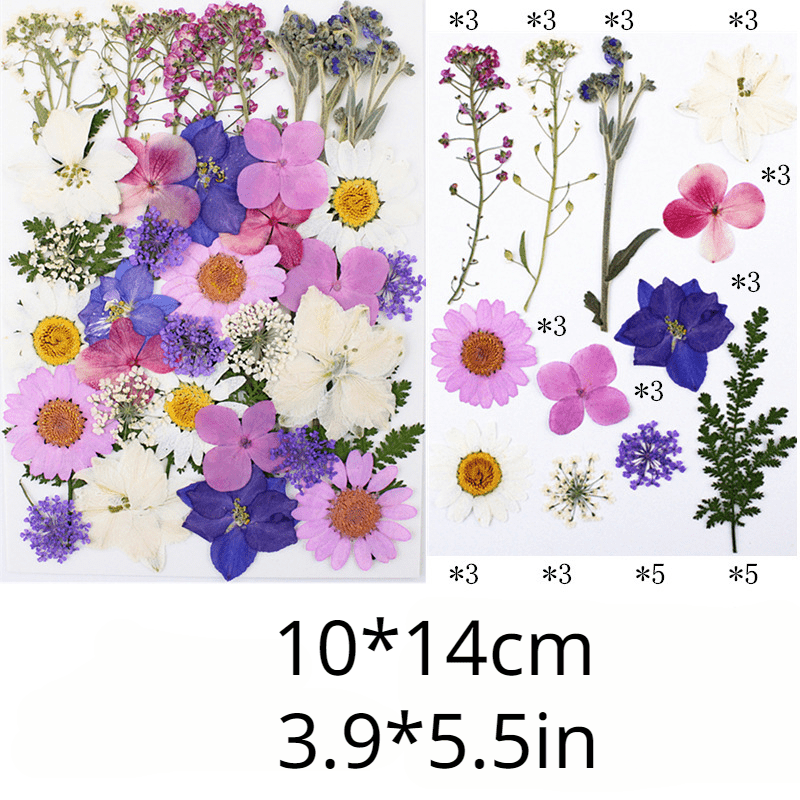 40pcs Dried Pressed Flower Kit for DIY Resin Jewelry Candles Soaps Nail Art