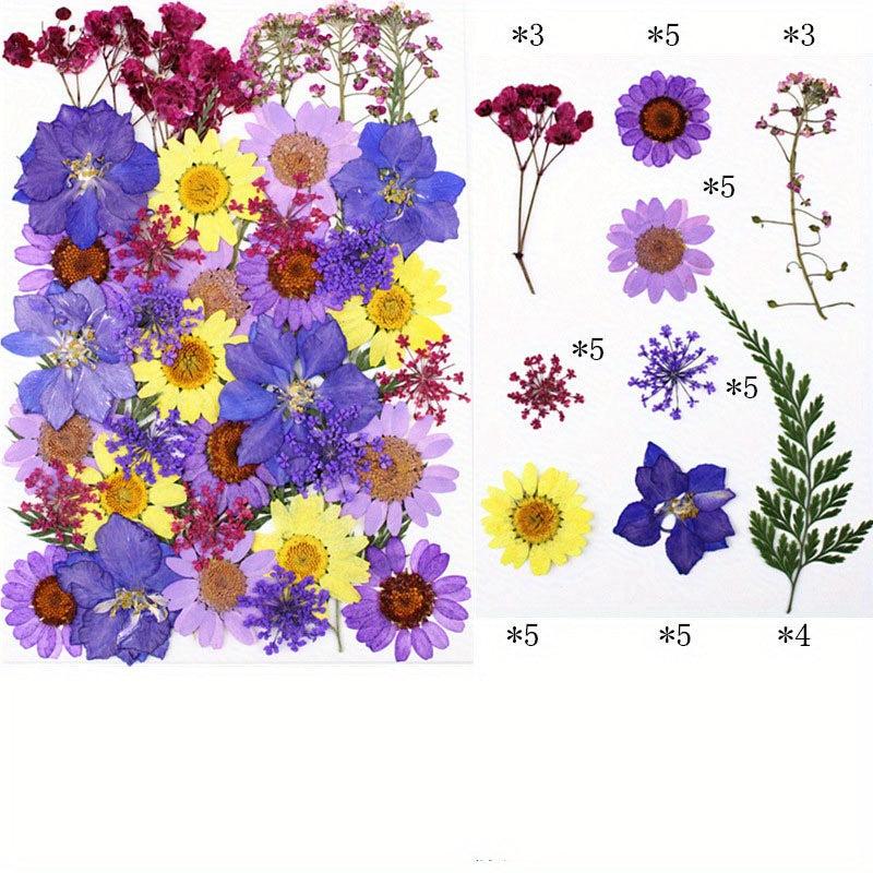 40pcs Dried Pressed Flower Kit for DIY Resin Jewelry Candles Soaps Nail Art