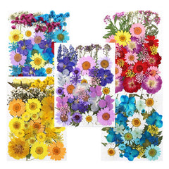40pcs Dried Pressed Flower Kit for DIY Resin Jewelry Candles Soaps Nail Art