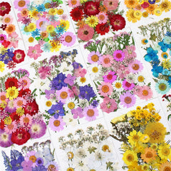 40pcs Dried Pressed Flower Kit for DIY Resin Jewelry Candles Soaps Nail Art