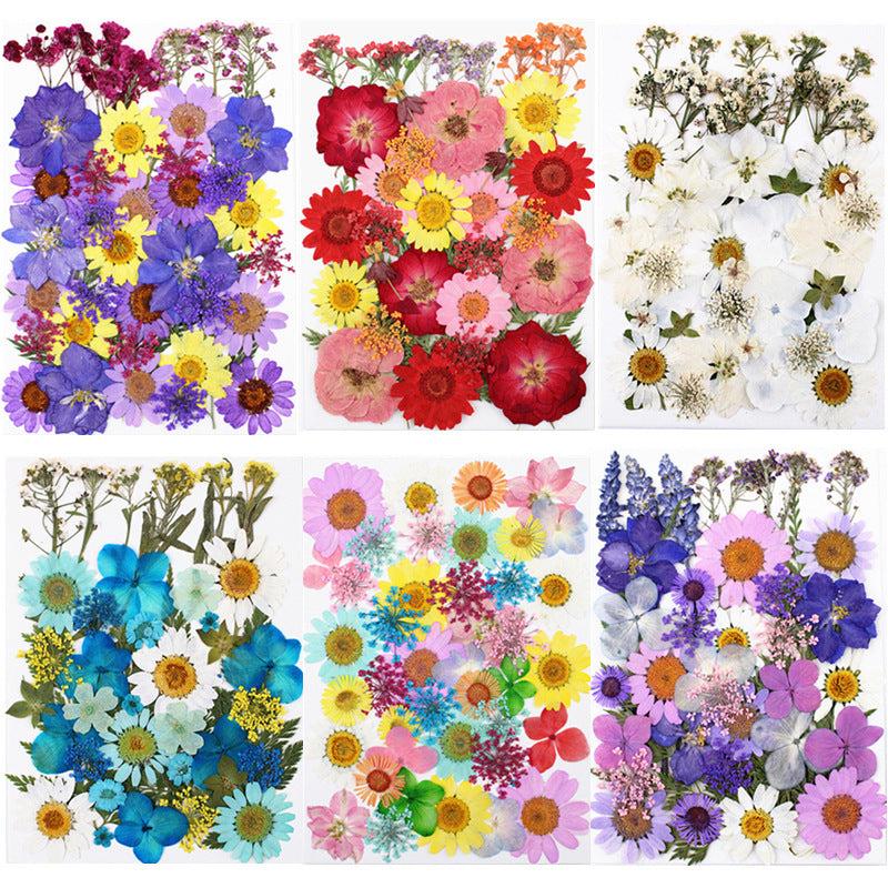40pcs Dried Pressed Flower Kit for DIY Resin Jewelry Candles Soaps Nail Art