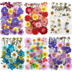 40pcs Dried Pressed Flower Kit for DIY Resin Jewelry Candles Soaps Nail Art