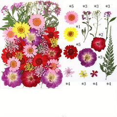 40pcs Dried Pressed Flower Kit for DIY Resin Jewelry Candles Soaps Nail Art