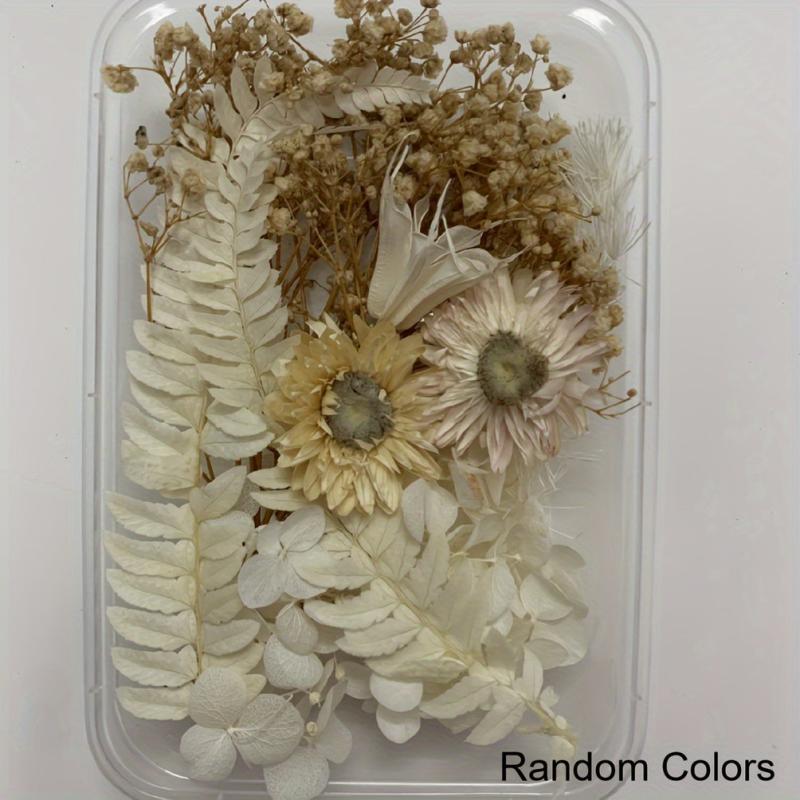 Aromatherapy Candle Making Kit with Dried Flowers & Resin Mold