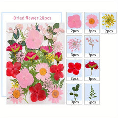 28pcs Resin Dry Embossed Real Flowers Specimen Collection for DIY Art