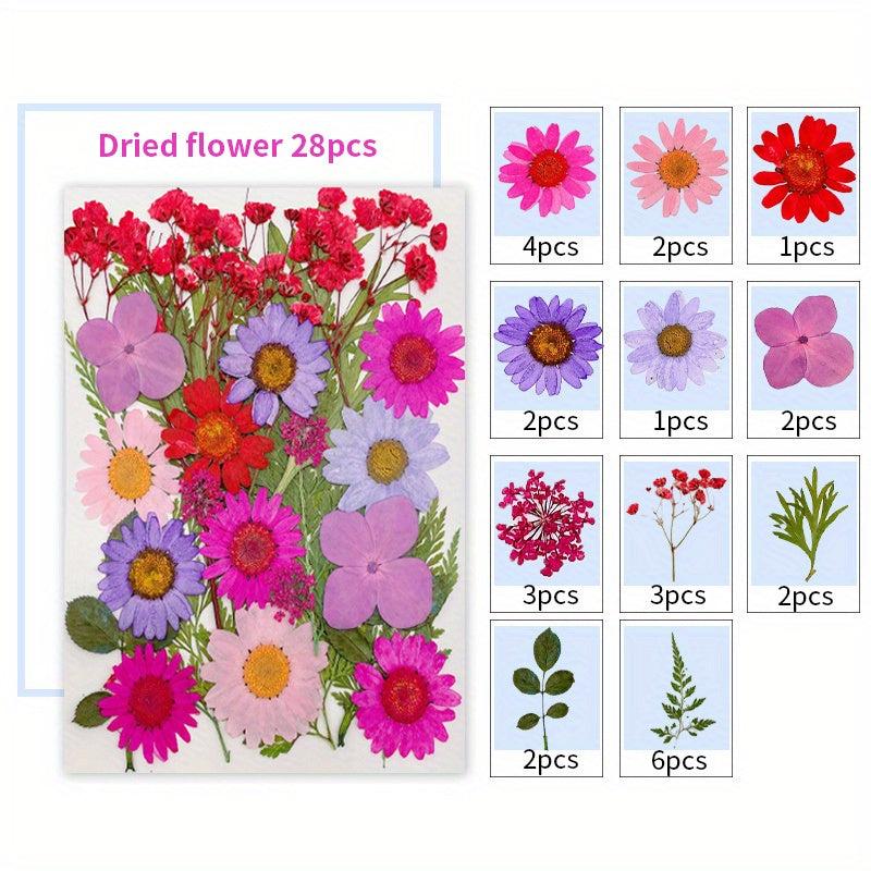 28pcs Resin Dry Embossed Real Flowers Specimen Collection for DIY Art