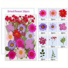 28pcs Resin Dry Embossed Real Flowers Specimen Collection for DIY Art