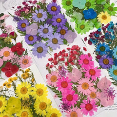 28pcs Resin Dry Embossed Real Flowers Specimen Collection for DIY Art
