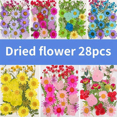 28pcs Resin Dry Embossed Real Flowers Specimen Collection for DIY Art