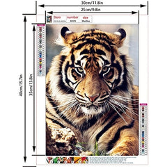 Tiger's Gaze DIY Diamond Painting Art Kit