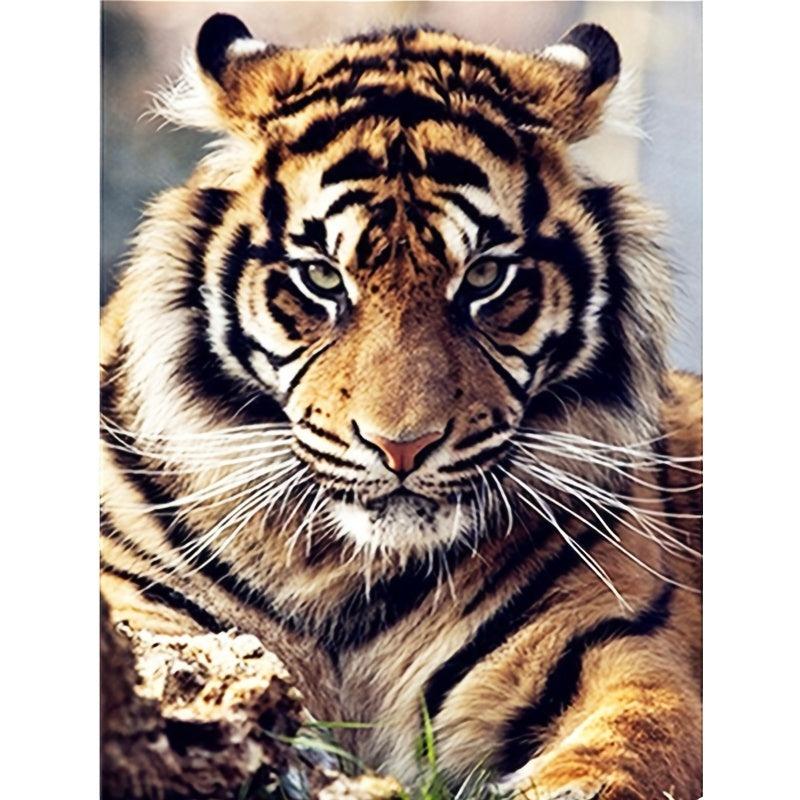 Tiger's Gaze DIY Diamond Painting Art Kit