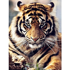 Tiger's Gaze DIY Diamond Painting Art Kit