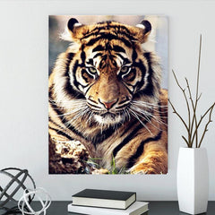 Tiger's Gaze DIY Diamond Painting Art Kit