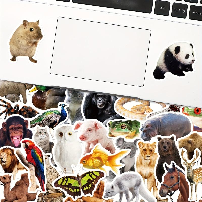 50pcs Animal Documentary Waterproof Vinyl Stickers for Kids, Adults, Teenagers