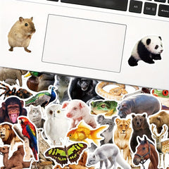 50pcs Animal Documentary Waterproof Vinyl Stickers for Kids, Adults, Teenagers