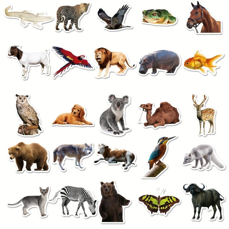 50pcs Animal Documentary Waterproof Vinyl Stickers for Kids, Adults, Teenagers