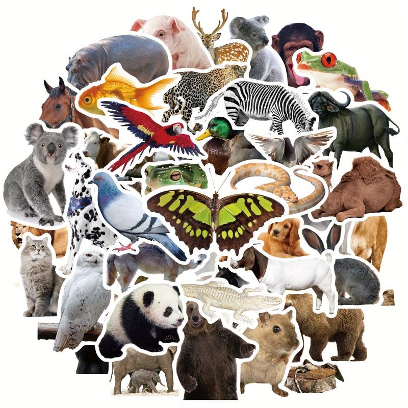 50pcs Animal Documentary Waterproof Vinyl Stickers for Kids, Adults, Teenagers
