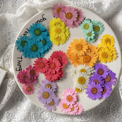 12pcs Natural Chrysanthemum Dry Flower Embossing DIY Materials